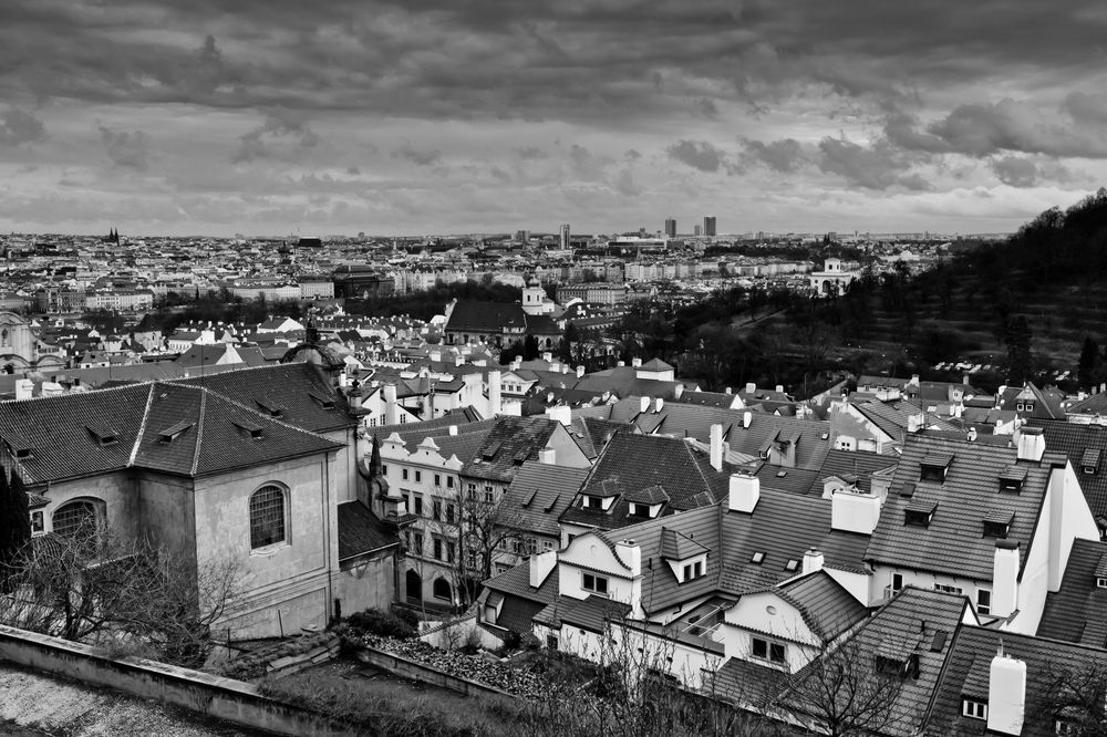 Фотография автора Totoro