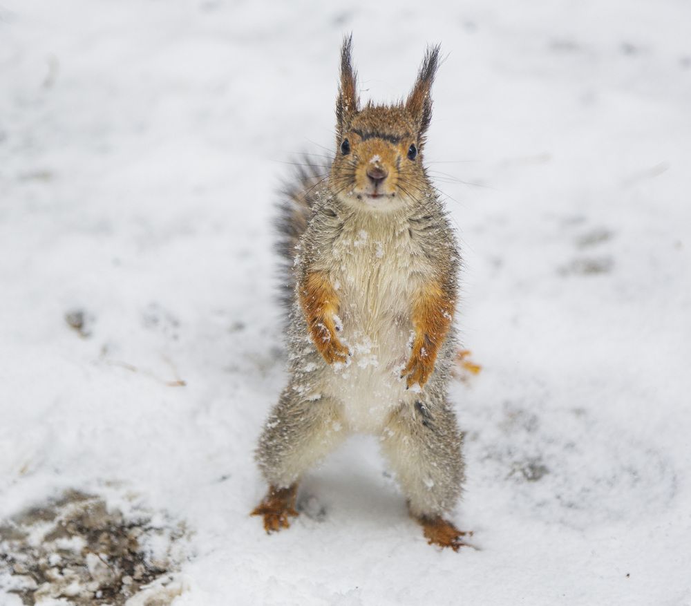 Фотография автора Каргин Валерий