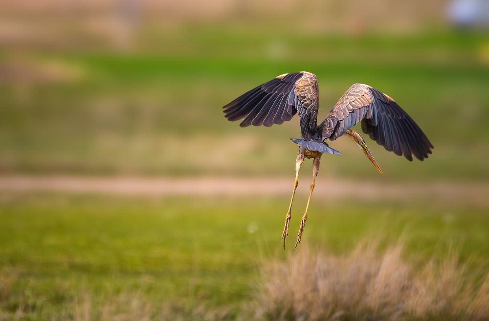 Photograph by Mahdi Reihani Bozorg