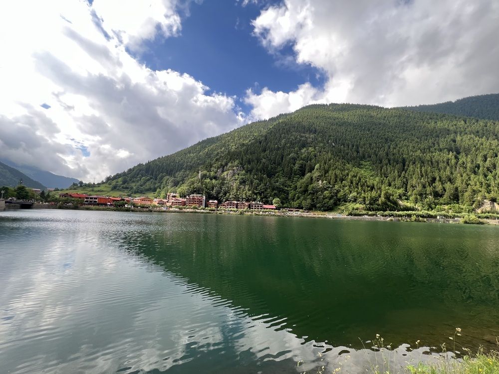 Фотография автора Walaa Ibrahim