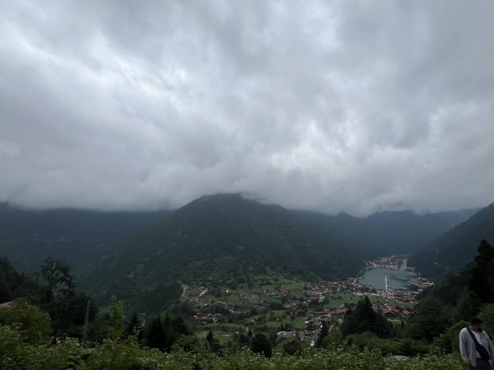 Фотография автора Walaa Ibrahim