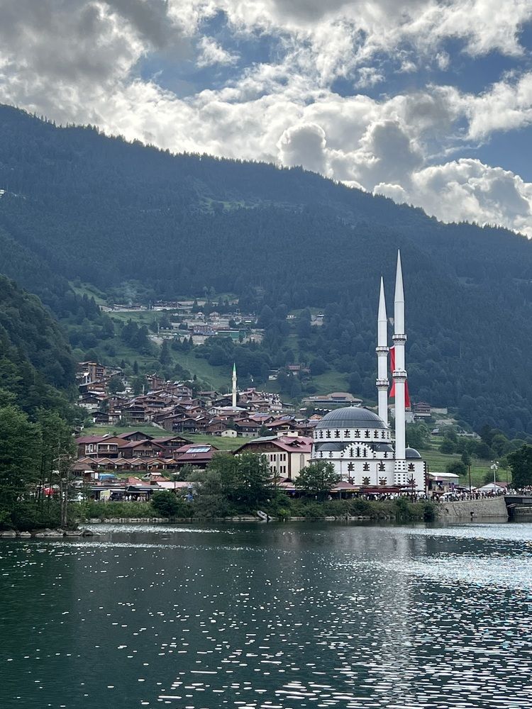 Фотография автора Walaa Ibrahim