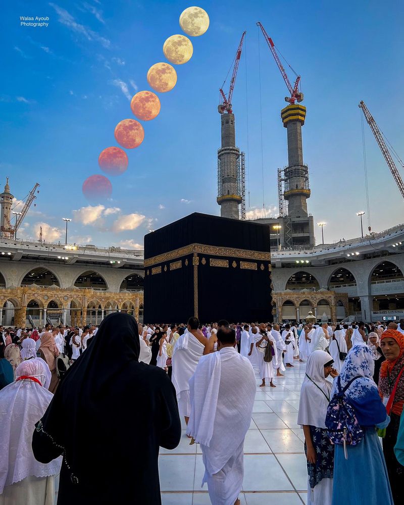 Фотография автора Walaa Ibrahim