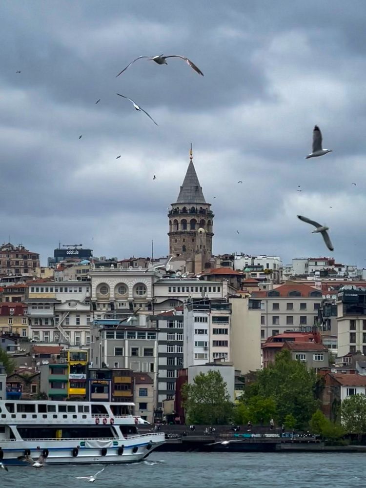 Фотография автора Walaa Ibrahim