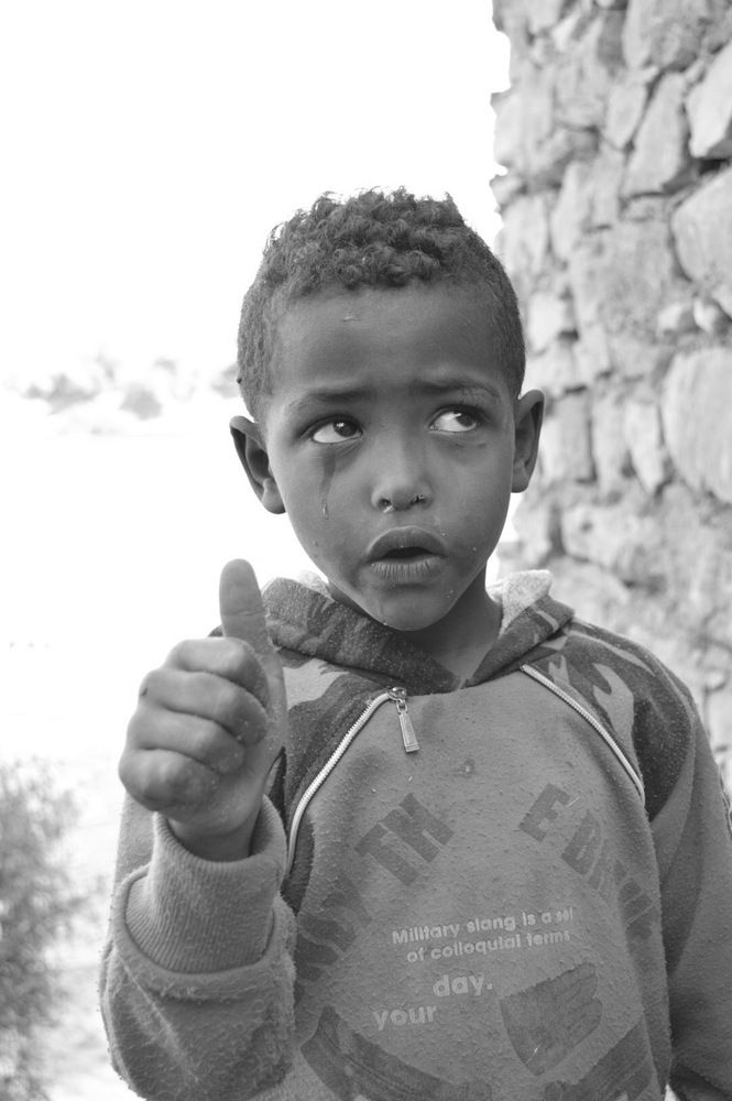 Фотография автора Walaa Ibrahim