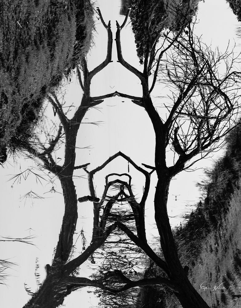 Photograph by Eva Wiedemann