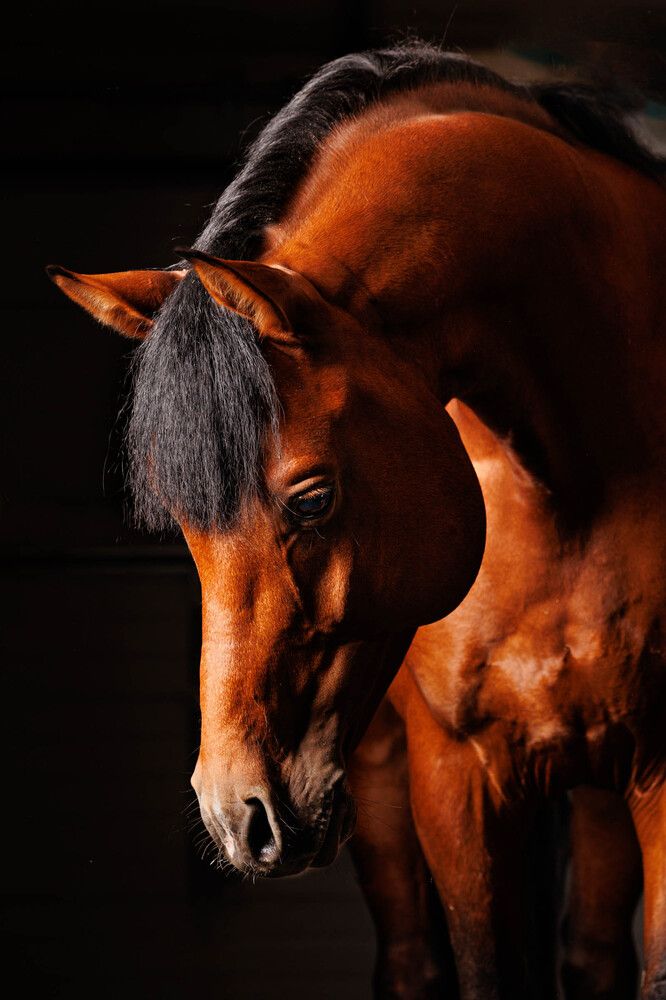 Photograph by Елена Гордиевская