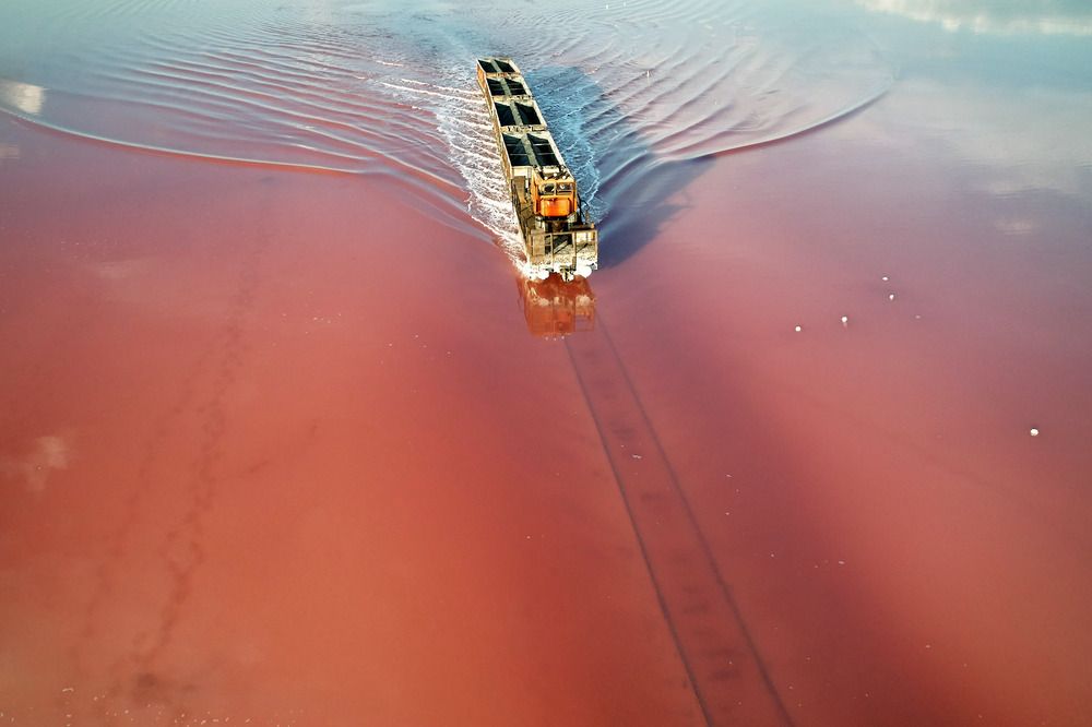 Фотография автора Totoro