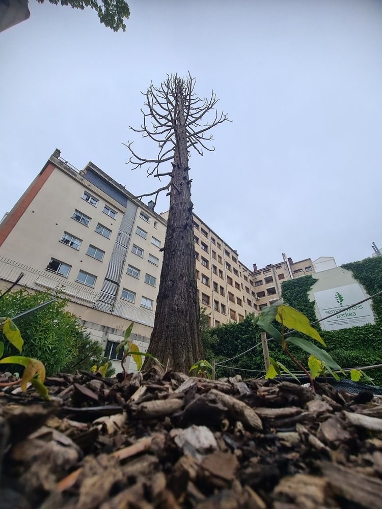 Photograph by Gloria casillas