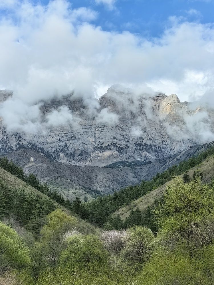 Photograph by OLGA MIKHNEVICH