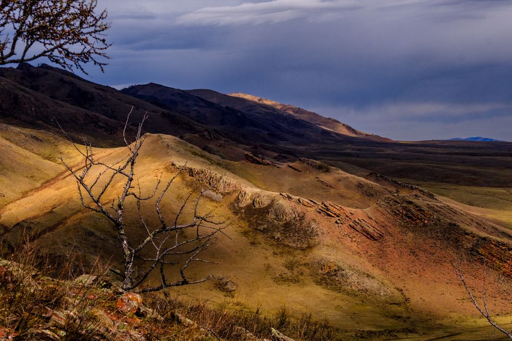 Photograph by Константин Белоногов