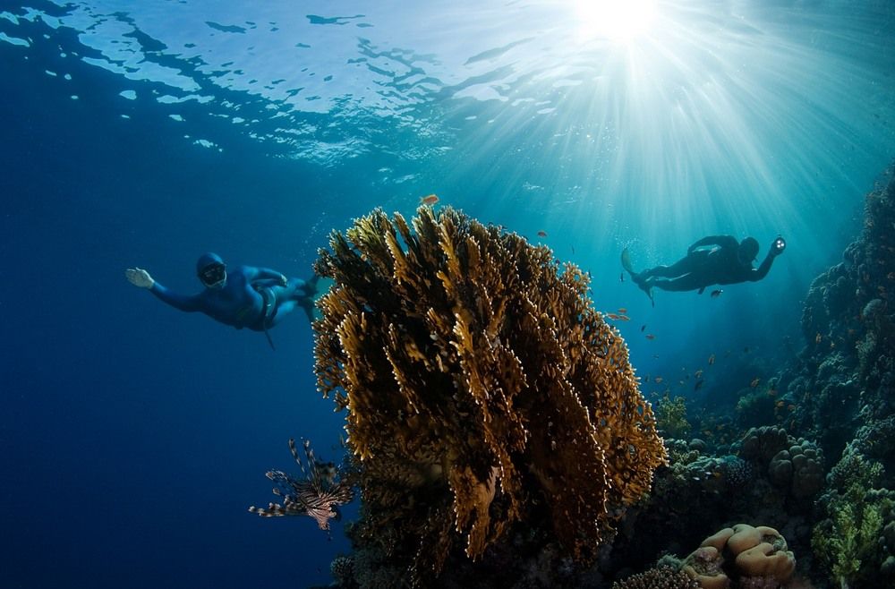 Photograph by Андрей Нарчук