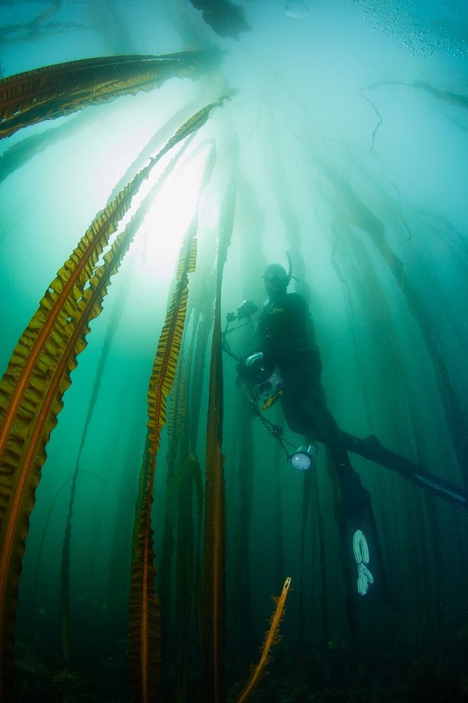 Photograph by Андрей Нарчук