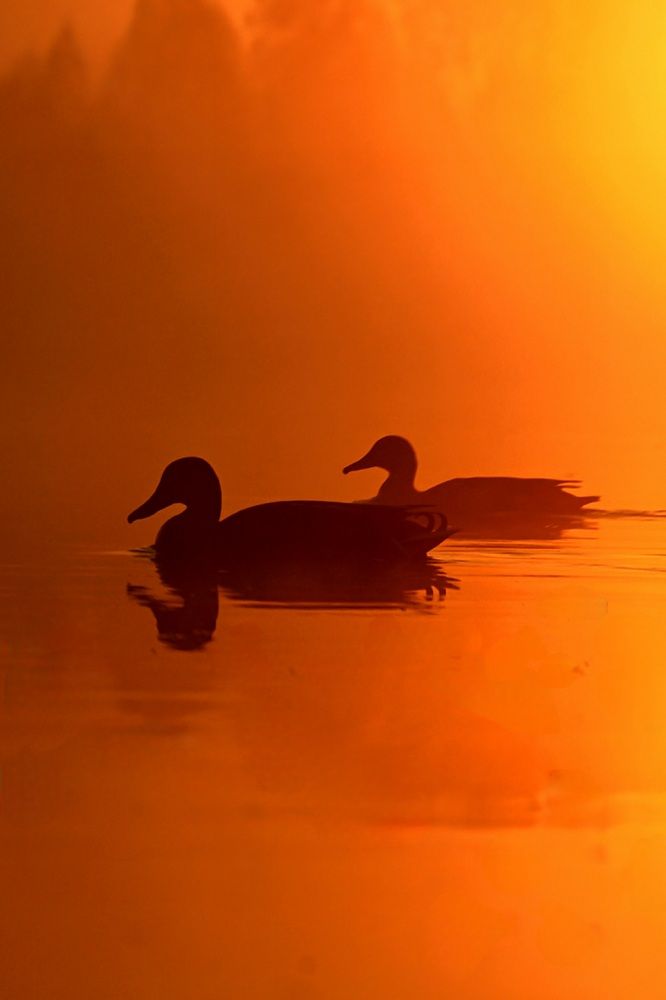 Photograph by Егор Жук