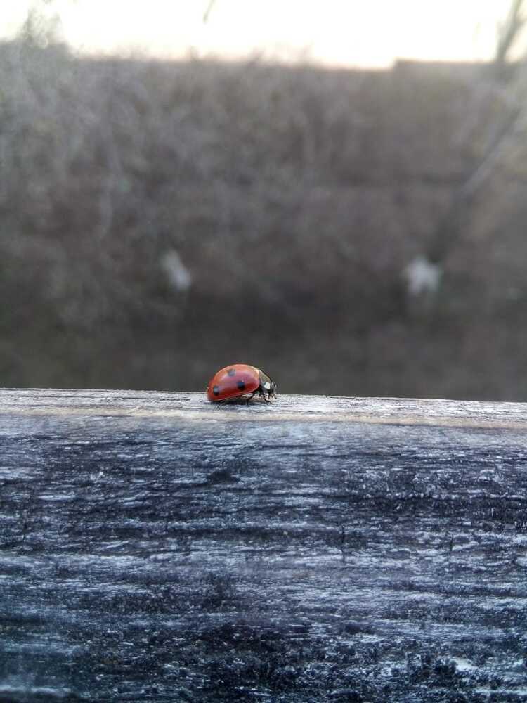 Взлётная____полоса)