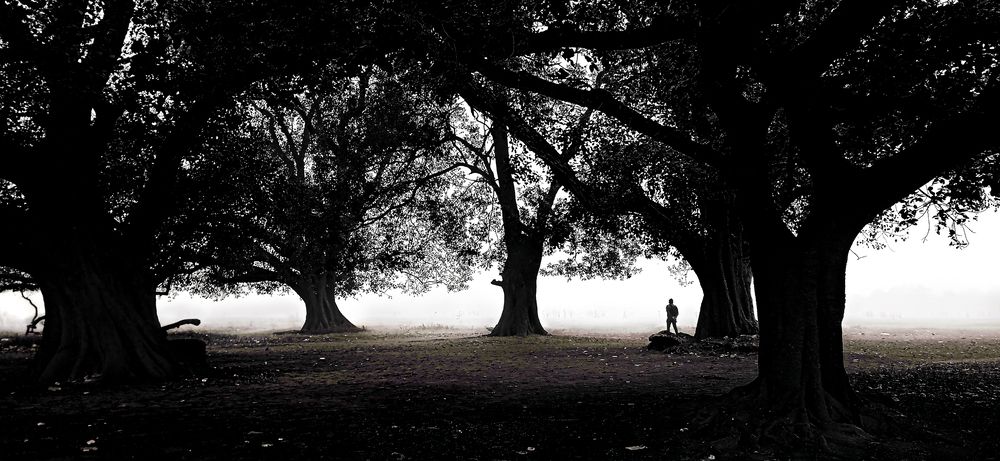 Photograph by Avayun