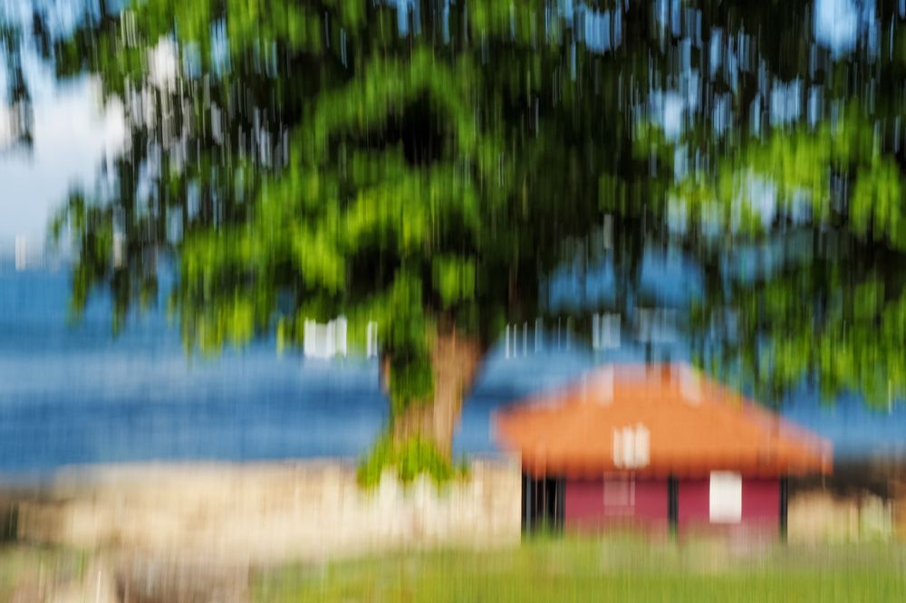 Photograph by Адиля Голубева