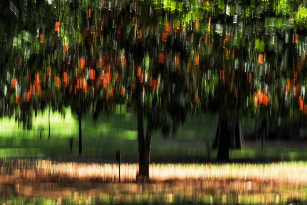 Photograph by Адиля Голубева