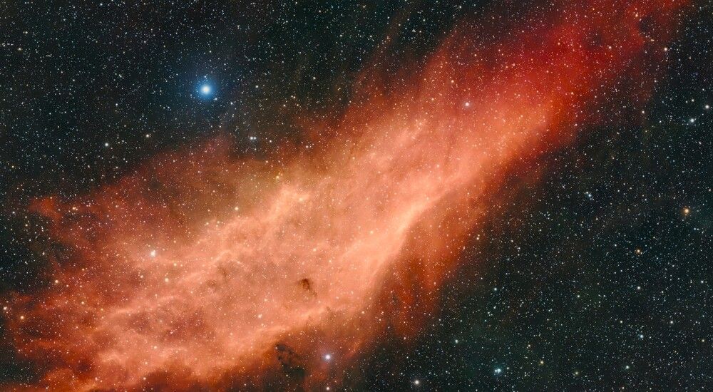 California Nebula