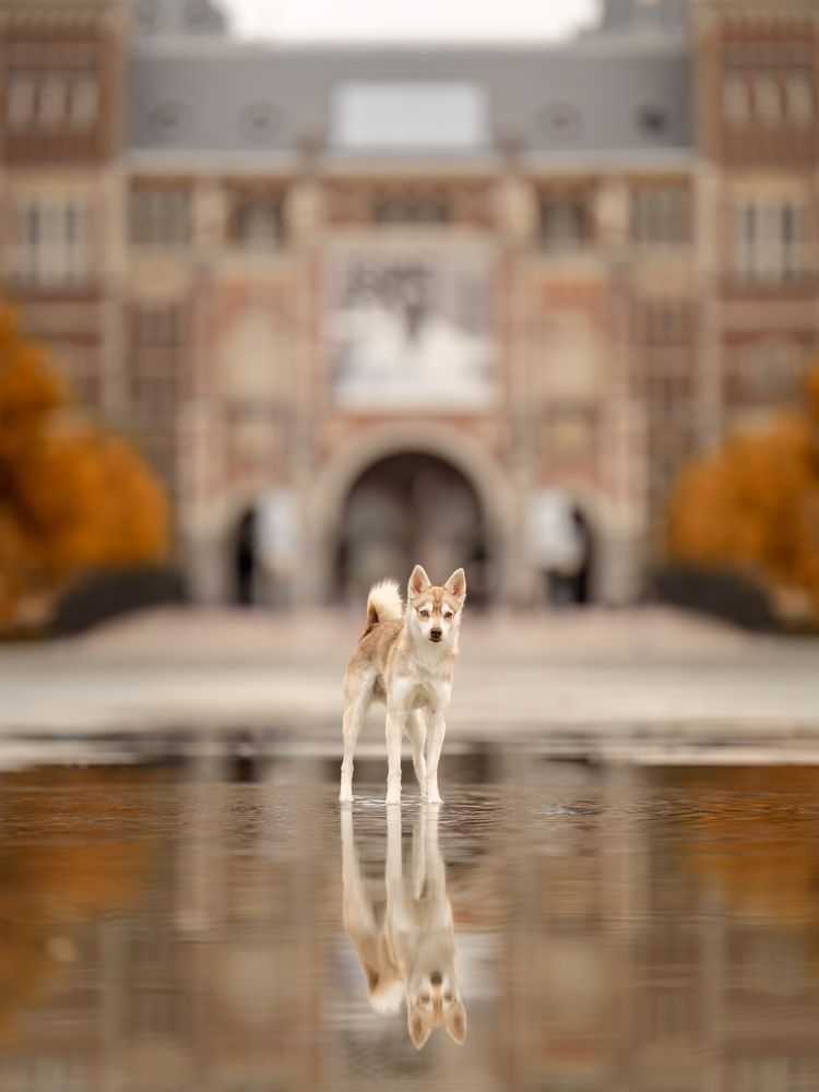 Photograph by Yong Lei van Barlingen