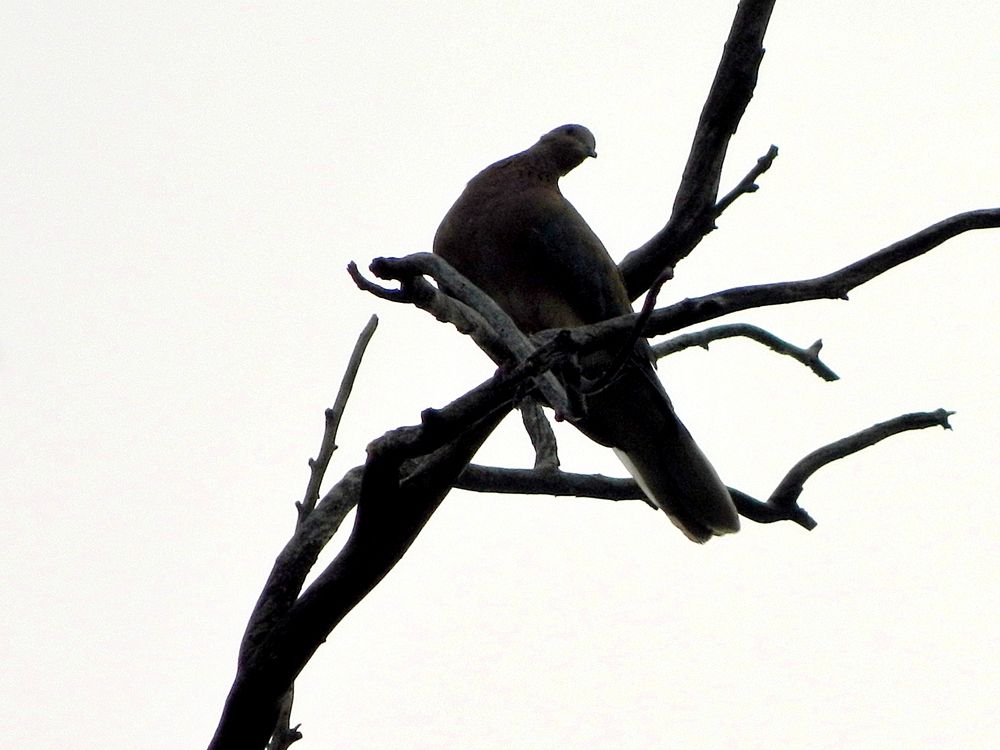 Photograph by Сергей Рапопорт