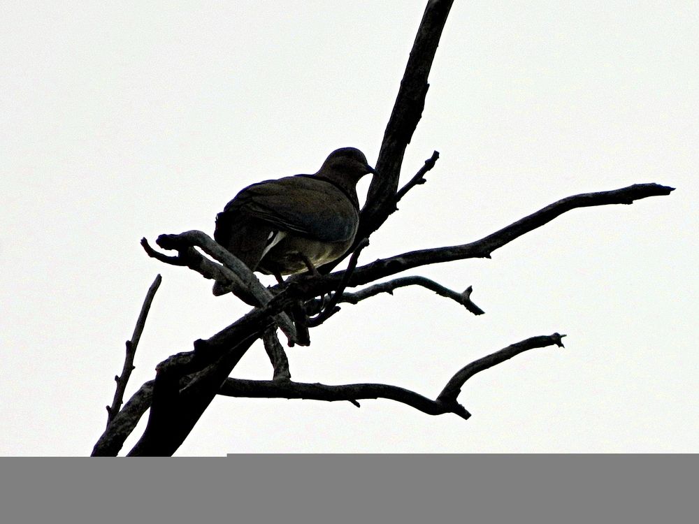 Photograph by Сергей Рапопорт