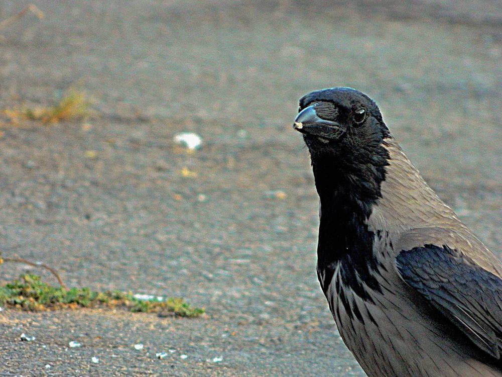 Photograph by Сергей Рапопорт