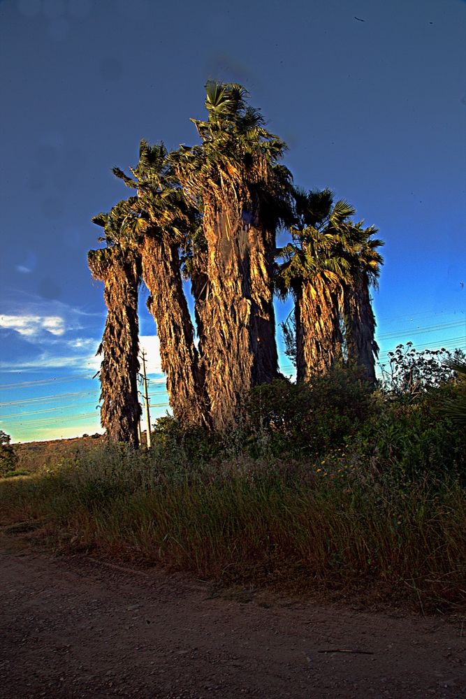 Photograph by Сергей Рапопорт