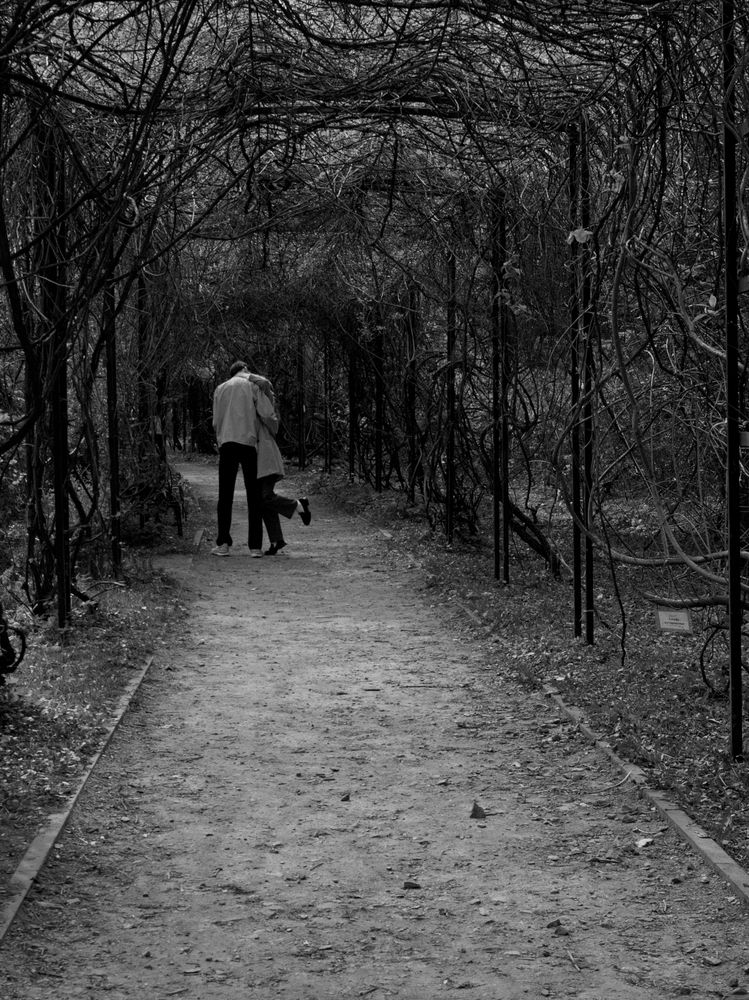 Photograph by Виктор Савельев