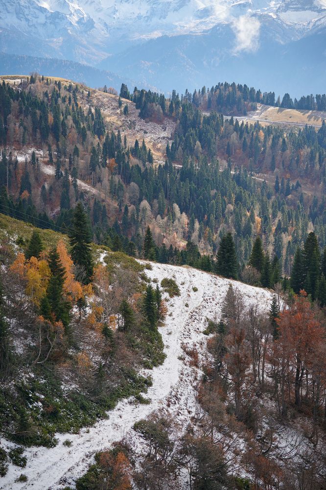 Фотография автора Александр Жданов
