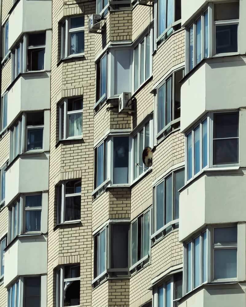 Photograph by Виталий Полозов