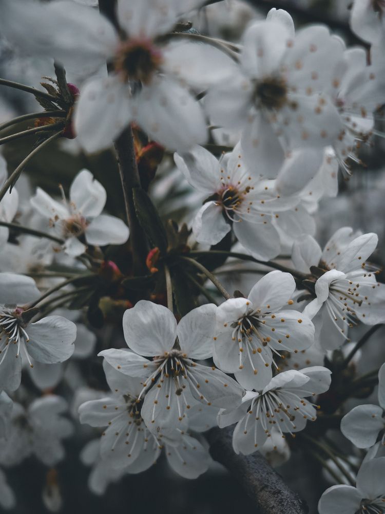 Photograph by Александра Кравченко