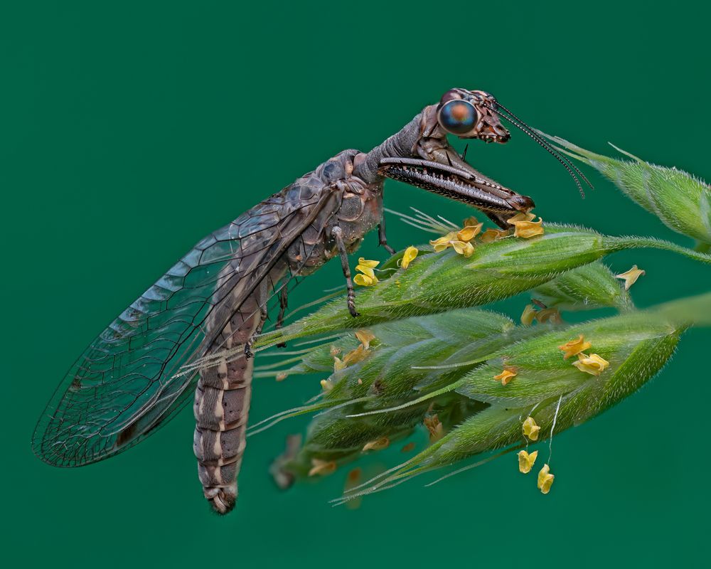 Фотография автора Craig Loechel