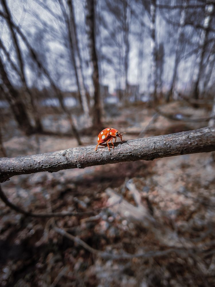 Photograph by Александр Хухлов