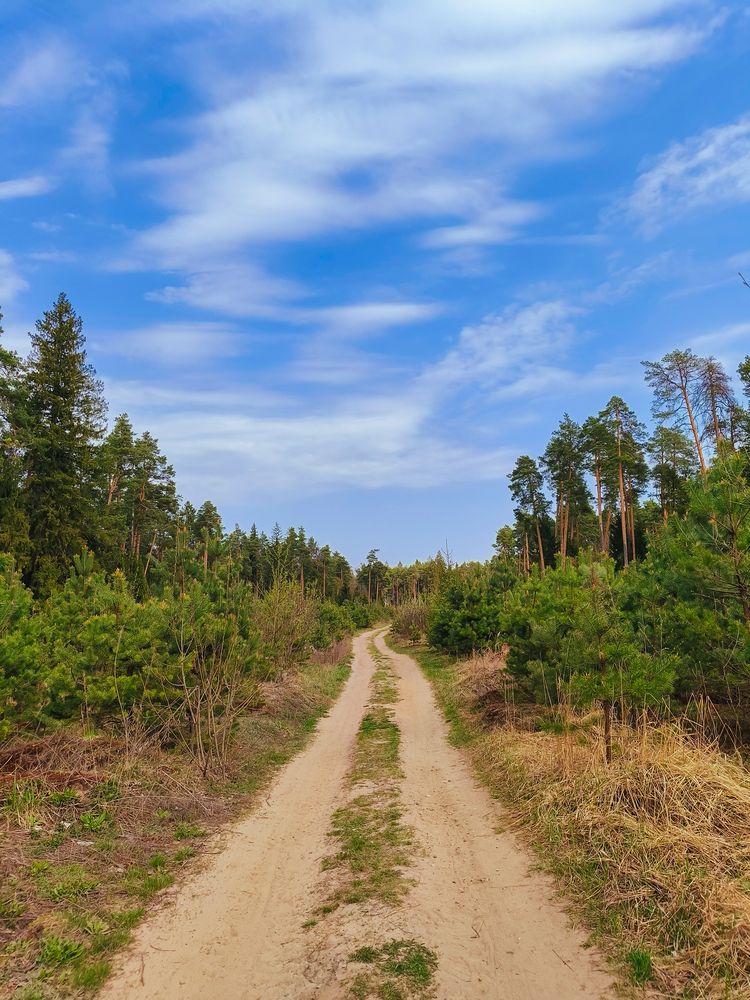 Фотография автора Александр Хухлов