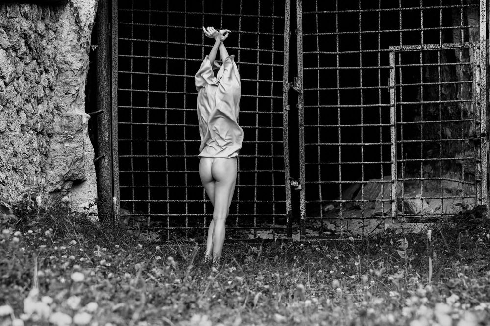 Фотография автора Dmitri Gorbunov