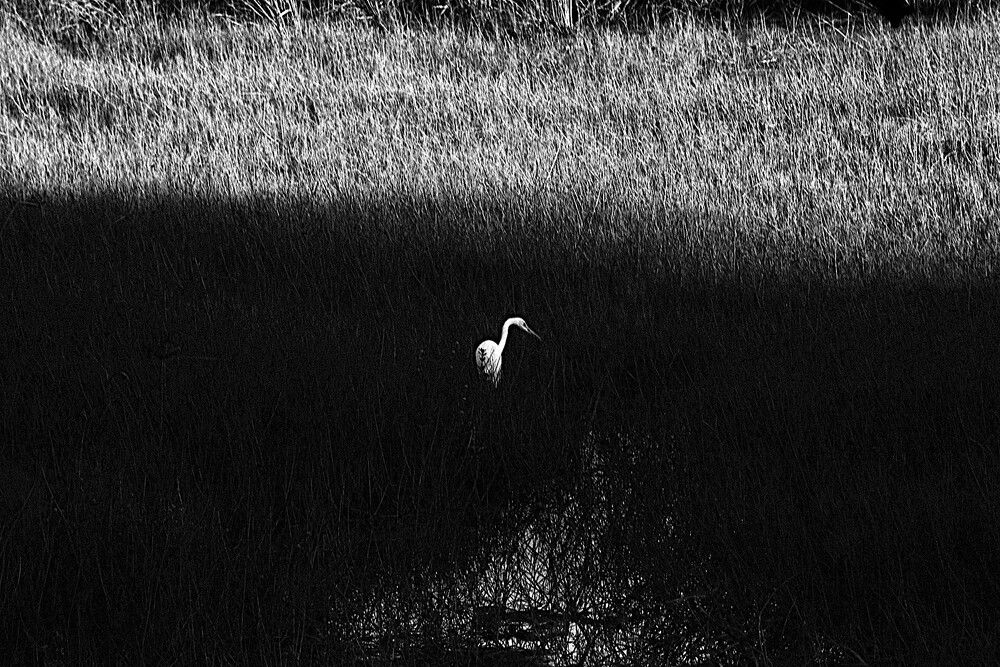 Photograph by Giovanni Martínz