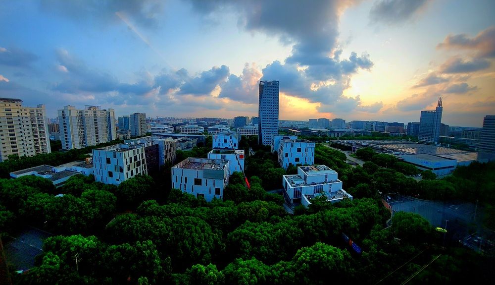 Photograph by Mostafa Shahriar