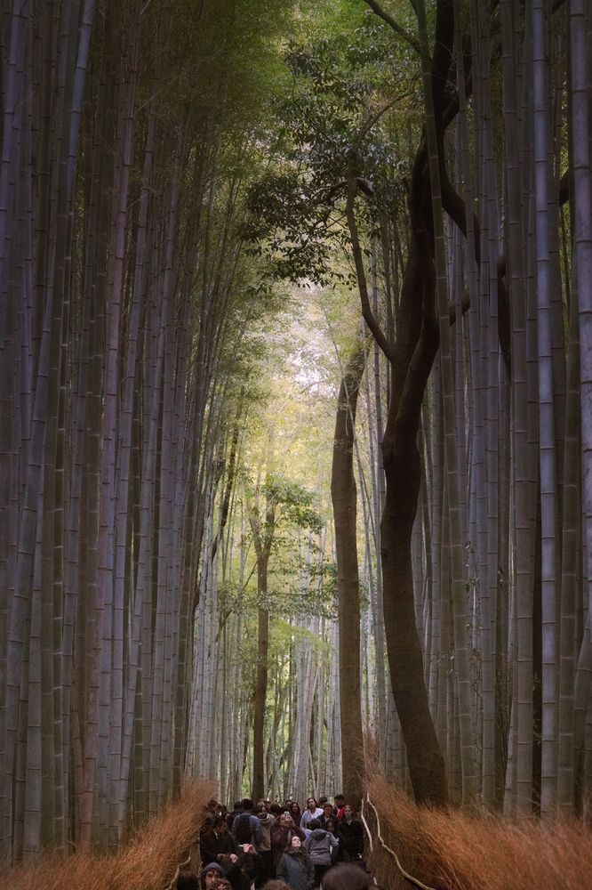 Фотография автора Henri Fitriadi