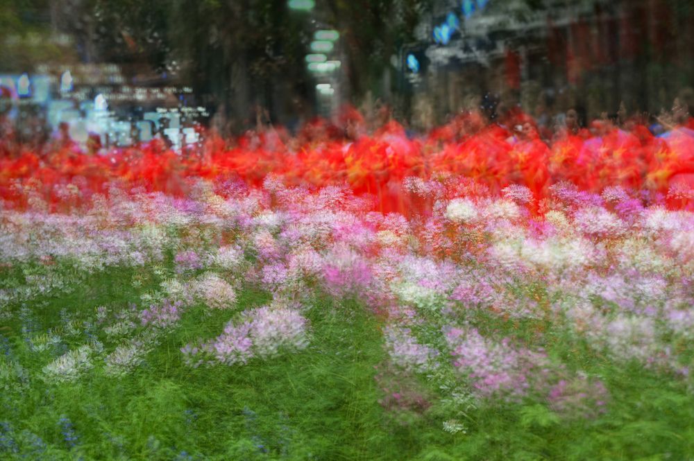 Photograph by esti lahat