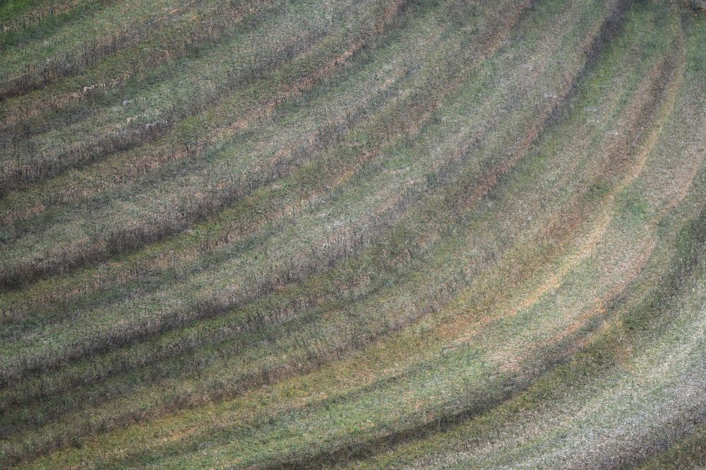 Photograph by esti lahat