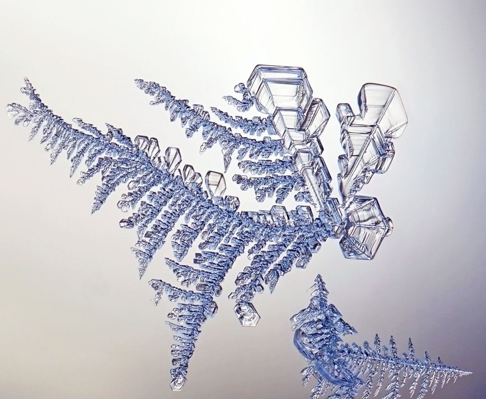 Photograph by Наталья Соколова