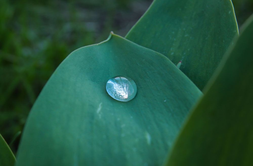 Photograph by Виталий Новиков