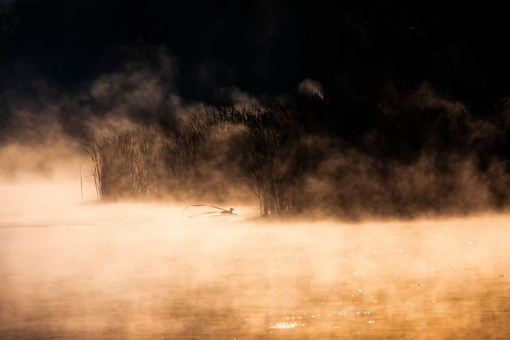 Photograph by Волынский Виктор