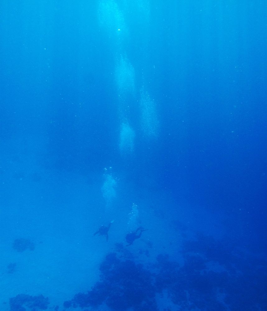 Photograph by ANDREY PERESHEIN