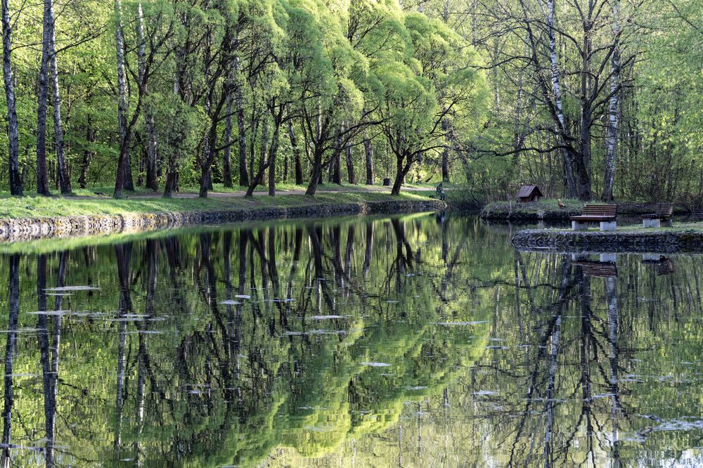 Photograph by Беликов Михаил