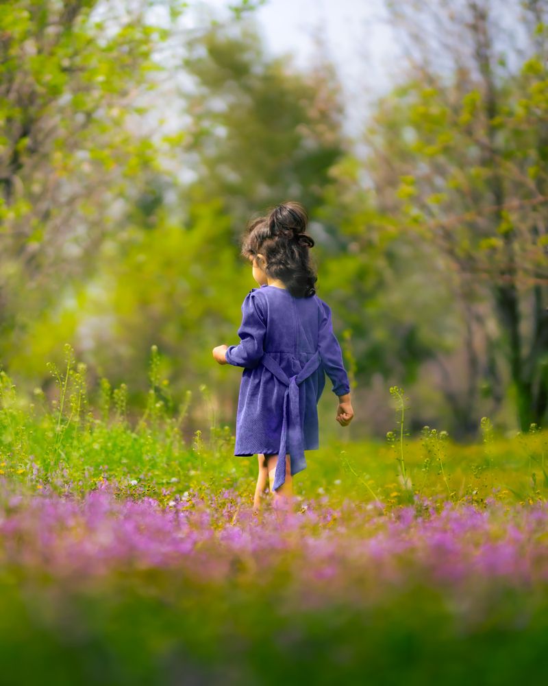 Фотография автора Mehran Bagherian