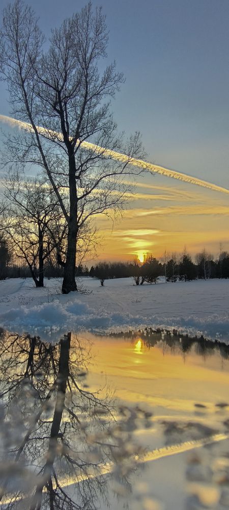 Photograph by Елена