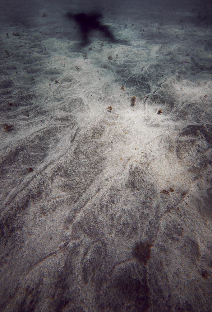 Photograph by Jose Maria Picon