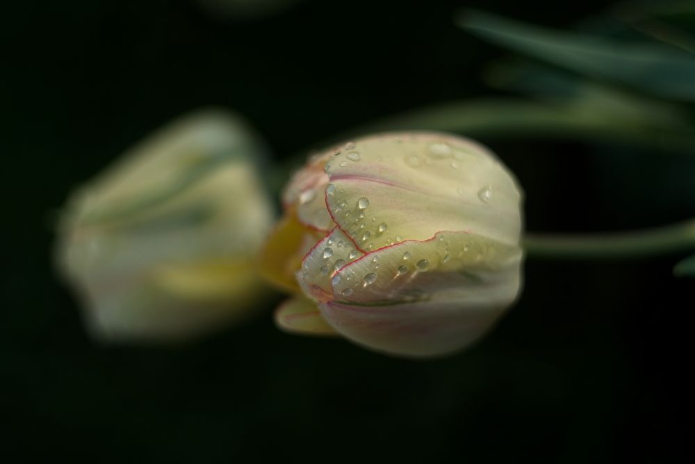Photograph by Юрий Кашлевский